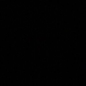 Meet your Posher, Lee